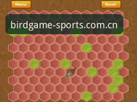 小鸟棋牌APP下载大全到底怎么样？资深技术评测员的真实体验报告